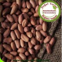Doğal Yerli Ayıklanmış Çiğ Fıstık 1 Kg