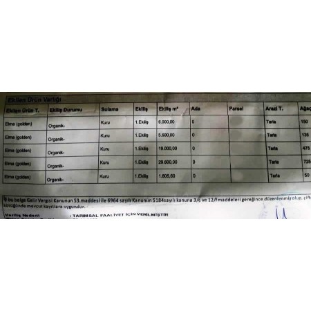 2 Şişe  Doğal Fermente Elma Sirkesi Cam Şişe(Ücretsiz Kargo ) Kampanyalı Paket