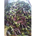 Organik Dolmalık Patlıcan Kurusu 1 Kg