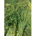 Doğal Yerli Susam 500 Gr