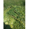 Doğal Yerli Susam 500 Gr