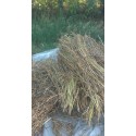 Doğal Yerli Susam 500 Gr