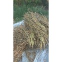 Doğal Yerli Susam 500 Gr