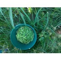 Doğal Yerli Bamya Tohumu 600 gr (İlaç ve Kimyasal Yoktur )