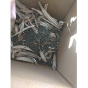 Doğal Yerli Bamya Tohumu 600 gr (İlaç ve Kimyasal Yoktur )