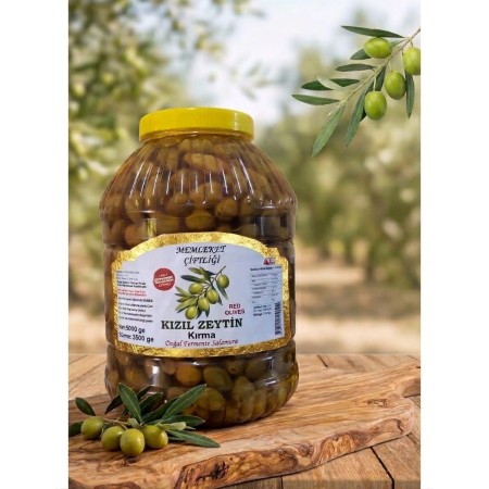 Doğal Fermente Yeşil Çekiçge Kırma Zeytin 5 Kg
