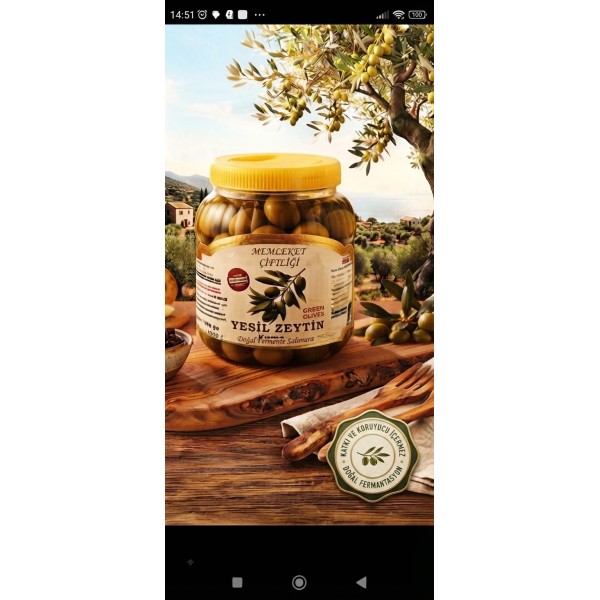 Yeşil Kırma Zeytin Çekiçge 1 Kg Pet