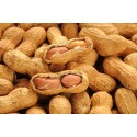 Doğal Kabuklu Kavrulmus Fıstık 500 Gr