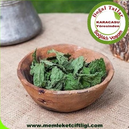 Kurutulmuş Dişi Isırganotu